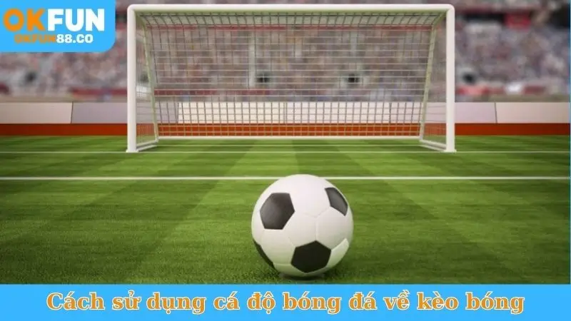 Cách sử dụng cá độ bóng đá về kèo bóng
